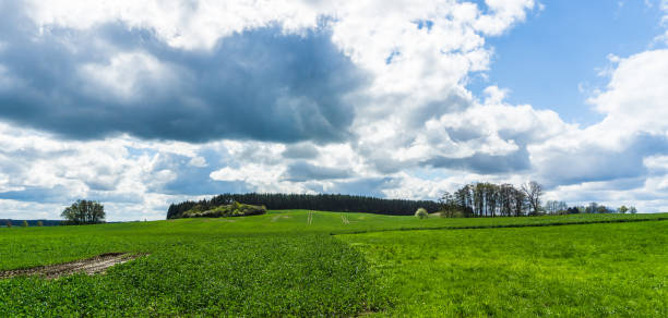 istock green meadow and field landscape 677874476