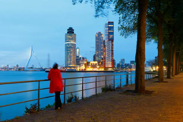 Young woman regarding the illuminated Wilhelminapier skyline at Rotterdam, The Netherlands