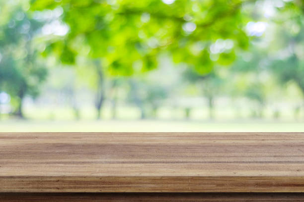 istock Empty wooden table over blurred tree with bokeh background, for product display montage 677928080