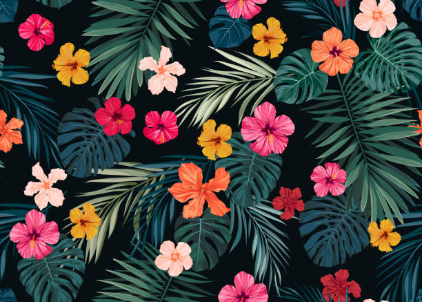 bezszwowy, ręcznie rysowany tropikalny wzór wektorowy z jasnymi kwiatami hibiskusa i egzotycznymi liśćmi palmowymi na ciemnym tle - egzotyczne drzewo obrazy stock illustrations