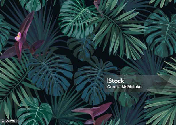 Ilustración de Patrón Dibujado Vector Exóticos Botánicos De Mano Transparente Con Palma Verde Hojas Sobre Fondo Oscuro y más Vectores Libres de Derechos de Bosque pluvial