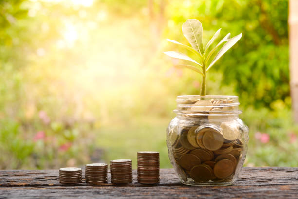 istock Coins in glass and stack coins with trees 677983828