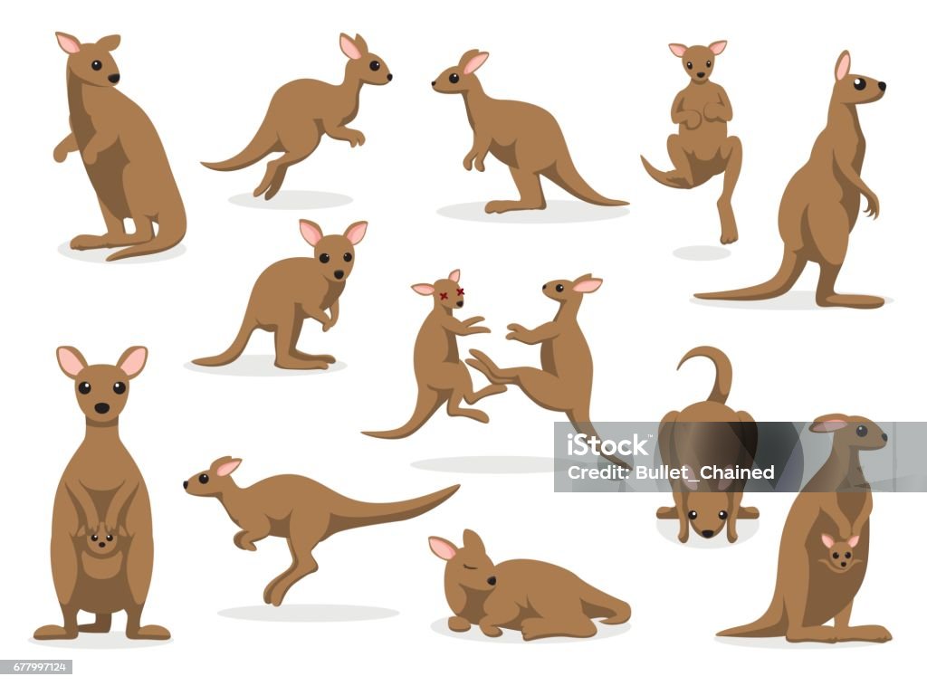 12 Kangaroo Poses Illustrazione vettoriale - arte vettoriale royalty-free di Canguro