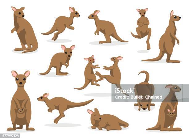 12 Kangaroo Poses Illustrazione Vettoriale - Immagini vettoriali stock e altre immagini di Canguro - Canguro, Wallaby, Illustrazione