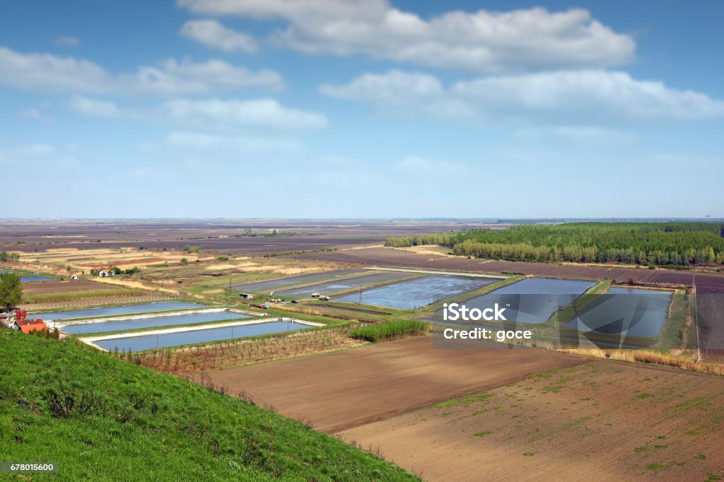 fish pond aerial view agriculture Aerial View Stock Photo