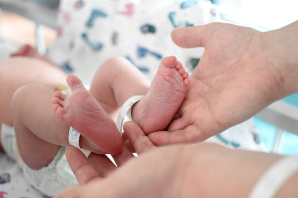 newborn baby feet Feet of newborn baby in hospital with parents hands baby bracelet stock pictures, royalty-free photos & images