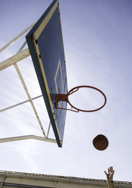 istock Basketball ball in basket 678054246