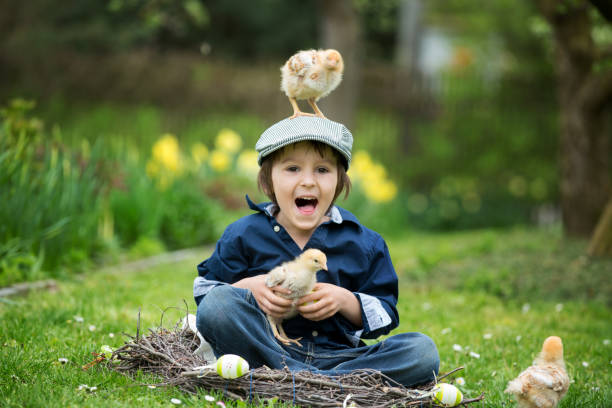 Cute little preschool child, boy, playing with easter eggs and chicks in spring blooming garden, sitting in handmade nest, easter happiness childhood concept