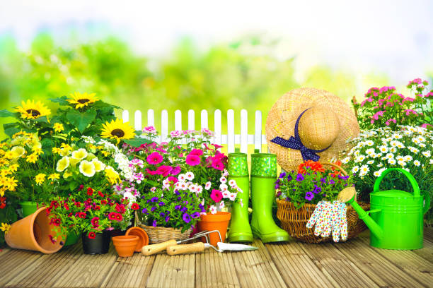 istock Gardening tools and flowers on the terrace i 678081672