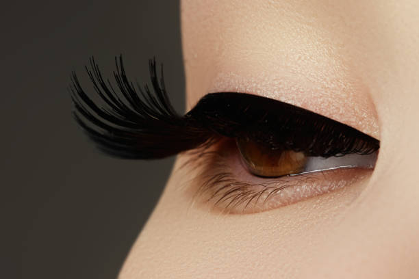 istock Beauty face makeup. Make up. Eyelashes extensions. Perfect Make- 678103738