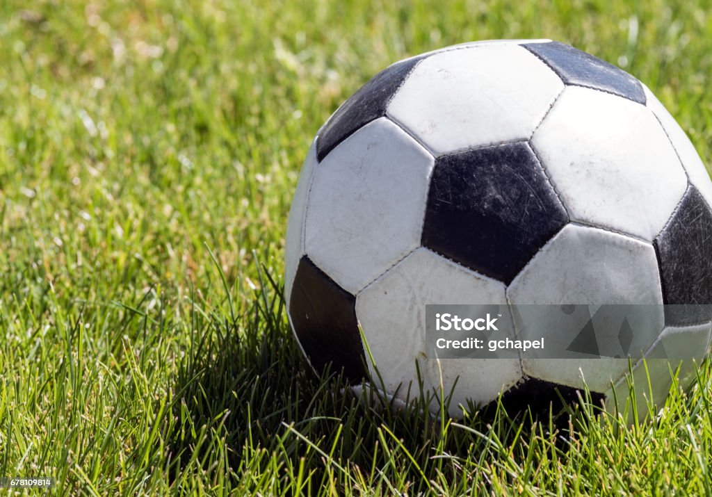 Close up view of a soccer ball or football on a green grassy field. Agricultural Field Stock Photo