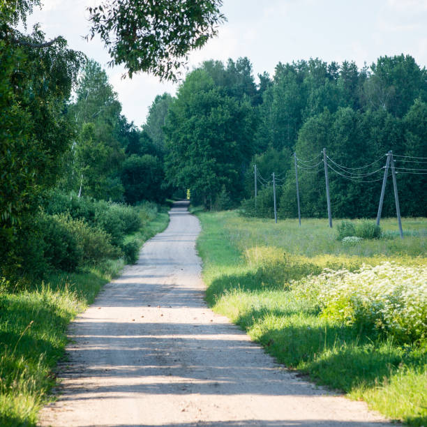 istock simple country road in summer 678114884