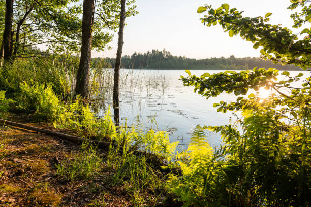istock Reflections in the calm lake water 678114972