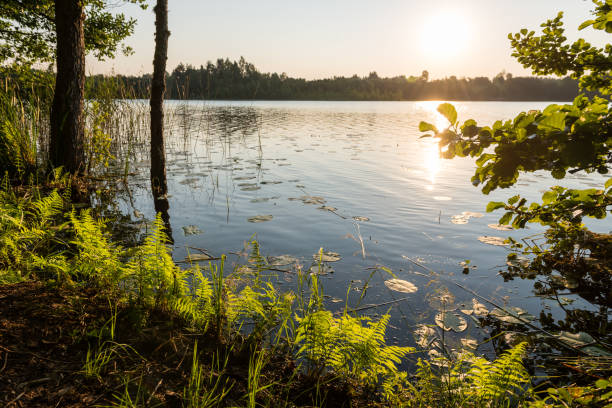 istock Reflections in the calm lake water 678115040