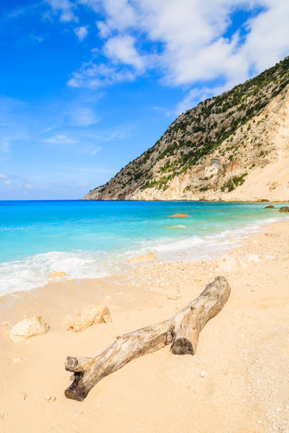 istock Dry tree trunk on idyllic sandy Myrtos beach, Kefalonia island, Greece 678125866