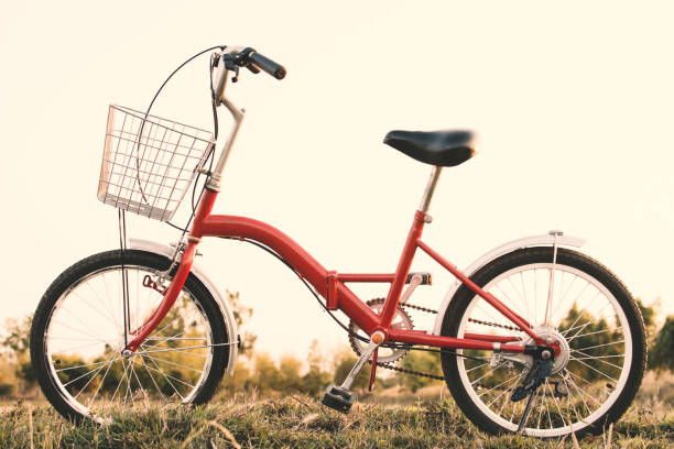istock Hipster bicycle on grass field ,Concept journey,hipster tone 678126012