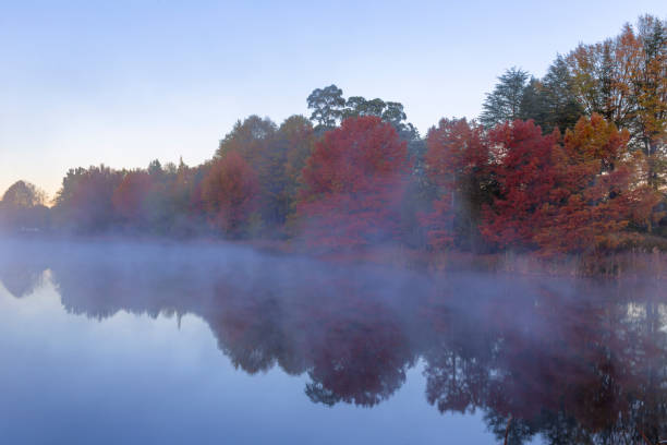 istock Mist on the water and autumn trees 678126244
