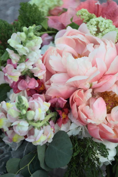 a bouquet. - hydrangea white flower flower bed imagens e fotografias de stock