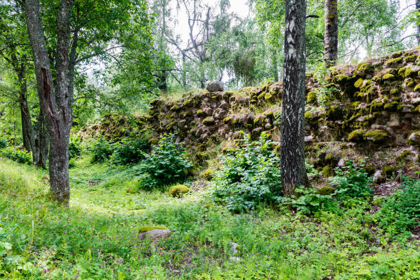 istock old fortress view from far away 678128624