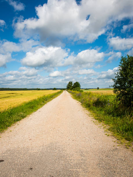 istock simple country road in summer 678128748