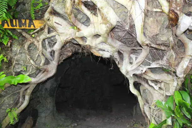 Entrance to the Auma Skull Cave on Kitava Island in Papua New Guinea. A cave used by cannibals on the island.