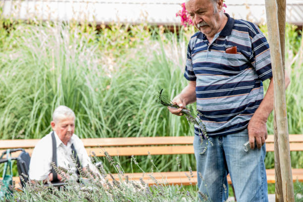 istock Senior Men Working in the Garden 678130352