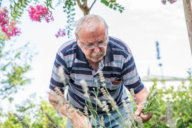 istock Senior Man Working at the Garden 678130356