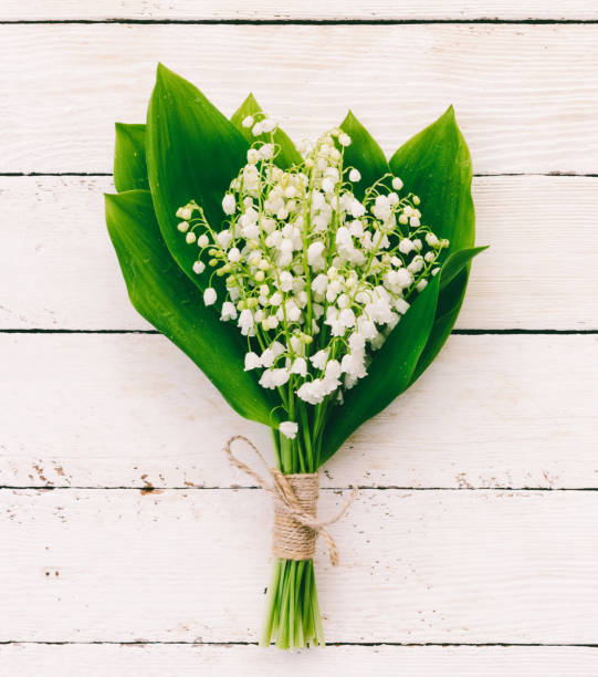 istock Lily of the valley bouquet on white boards 678147890