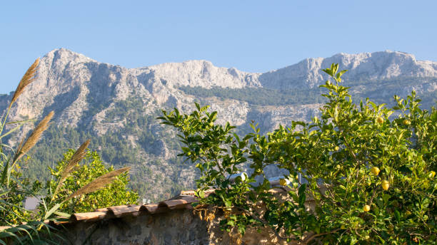 istock This photo was taken in Spain. 678151708