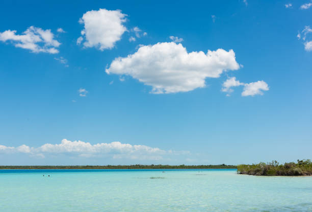 istock Turquoise colored water in Lake Bacalar, Mexico 678164652