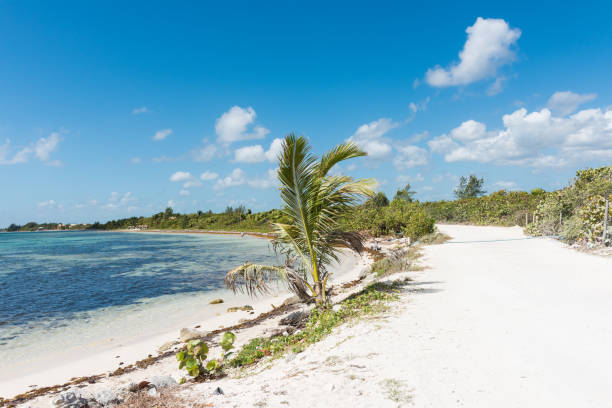 istock The beach in Mahahual, Quintana Roo, Mexico 678177554