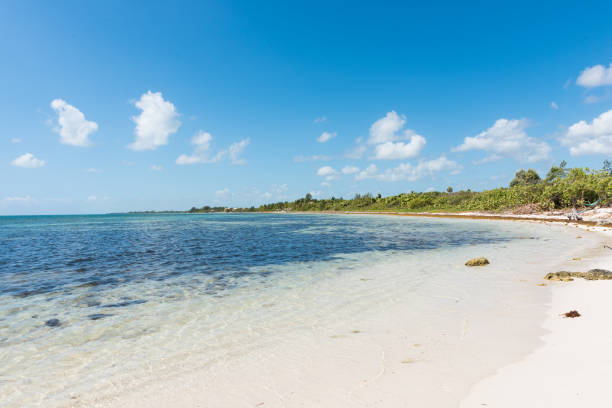 istock The beach in Mahahual, Quintana Roo, Mexico 678177650