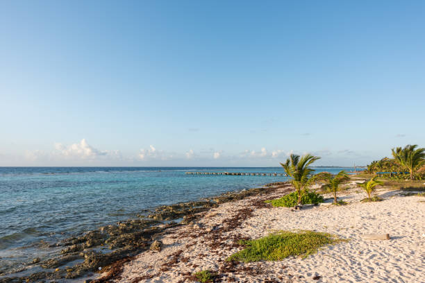 istock The beach in Mahahual, Quintana Roo, Mexico 678178086