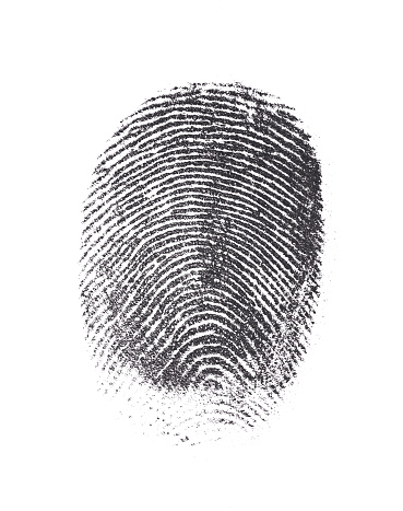 Single black fingerprint isolated on white