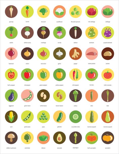 ilustraciones, imágenes clip art, dibujos animados e iconos de stock de iconos de vegetales – gran conjunto de iconos de círculo de cuarenta y nueve - rutabaga