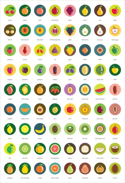 ilustraciones, imágenes clip art, dibujos animados e iconos de stock de iconos de frutas – gran conjunto de iconos de vector de setenta y dos - plum grape fruit clip art