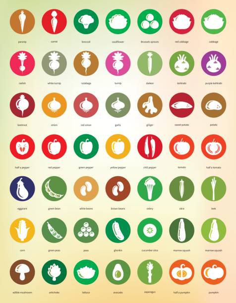 illustrations, cliparts, dessins animés et icônes de icônes de légumes – grand ensemble d’icônes de cercle de quarante-neuf - artichoke celery radish kohlrabi
