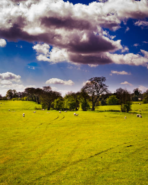 istock Beautiful Scenery On English Countryside 678220510