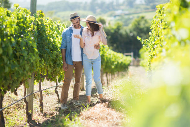 istock Young couple standing at vineyard 678224322