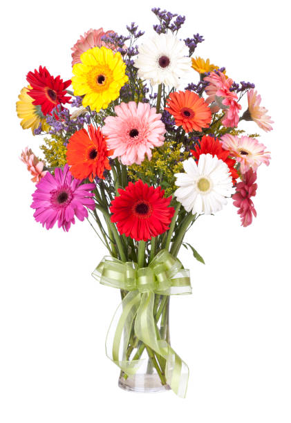istock Gerbera daisies bouquet in a vase isolated on white 678238856