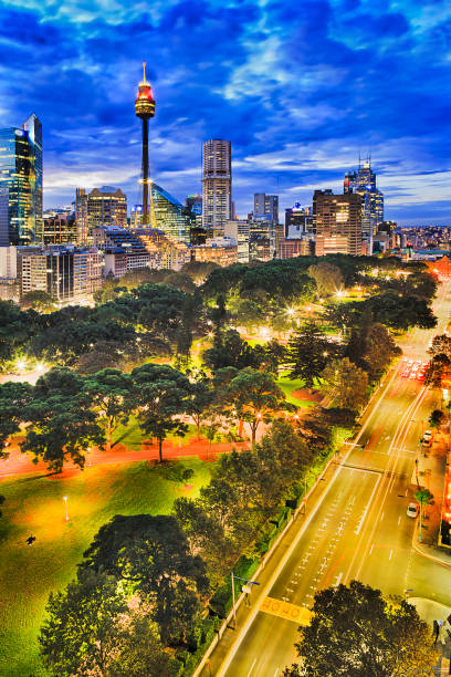 Sy Hyde park 2 city vert Sydney hyde park and CBD towers at sunset from elevated position. Illuminated city architecture and street roads in vertical view. hyde park sydney stock pictures, royalty-free photos & images