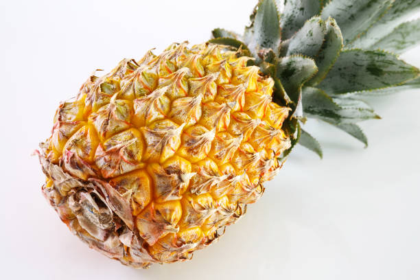 ananas isolé sur fond blanc, ananas, fruits tropicaux - ananas victoria photos et images de collection