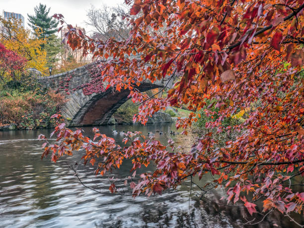 istock Gapstow bridge Central Park, New York City 678252798