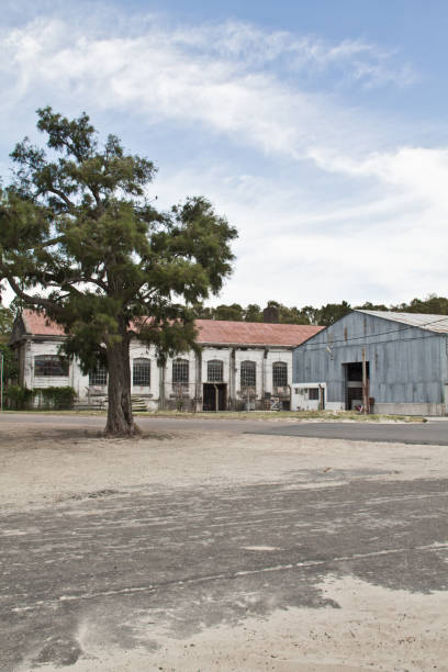 istock View to the farm houses with tree in front. 678252884