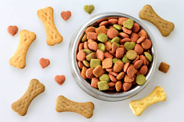 Dog food in the bowl and bone shaped biscuits Dog food in the bowl and bone shaped biscuits dog food photos stock pictures, royalty-free photos & images