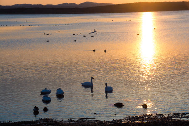 istock Dusk of the lake 678272900