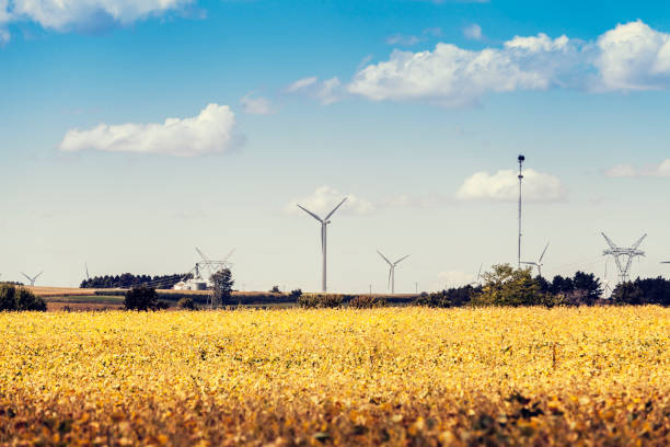 amerykańska farma wiatrowa na wsi - illinois farm wind wind power zdjęcia i obrazy z banku zdjęć