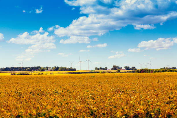 amerykańska farma wiatrowa na wsi - illinois farm wind wind power zdjęcia i obrazy z banku zdjęć