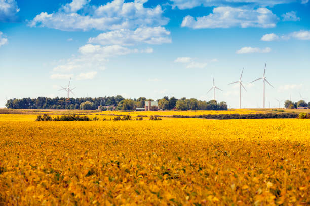 amerykańska farma wiatrowa na wsi - illinois farm wind wind power zdjęcia i obrazy z banku zdjęć