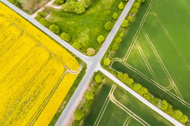 Photo of Canola and wheat fields in spring - aerial view